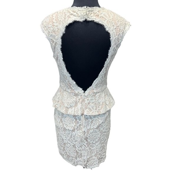 Betsy & Adam White/Blush Lace Peplum Illusion Sheath Dress Size 12 - Picture 4 of 12
